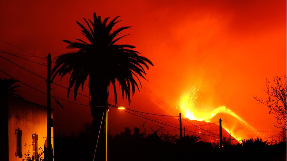 Lavaströme auf La Palma schließen Hunde ein – Vierbeiner werden mit Drohne versorgt