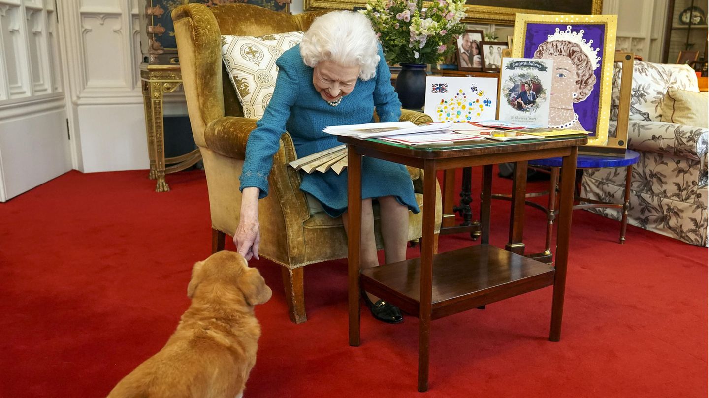 Die Queen streichelt einen ihrer Corgis