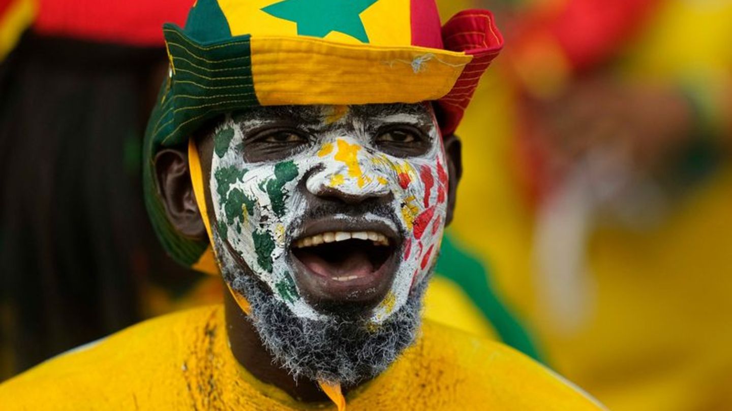 Ein Senegal-Fan feuert sein Team an. Foto: Kim Price/CSM via ZUMA Press Wire/dpa