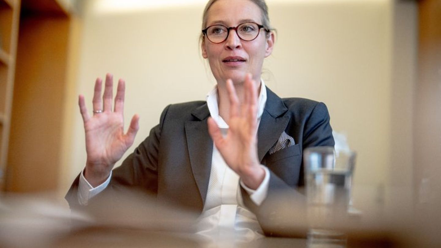 Alice Weidel fordert eine ausgewogene Sicht auf den Konflikt in der Ukraine. Foto: Michael Kappeler/dpa