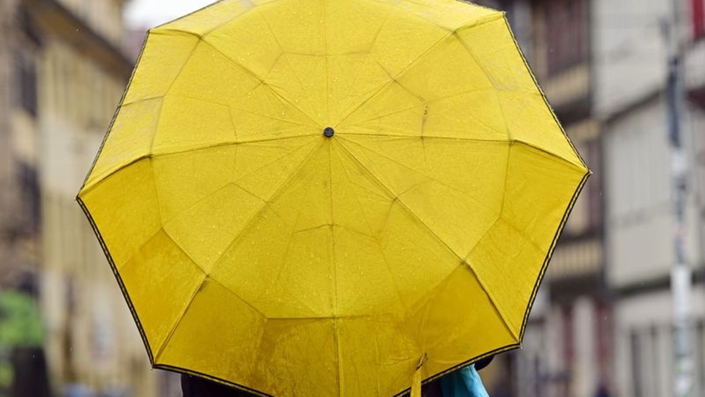 Eine Frau hält einen Regenschirm. Foto: Martin Schutt/dpa/Archivbild